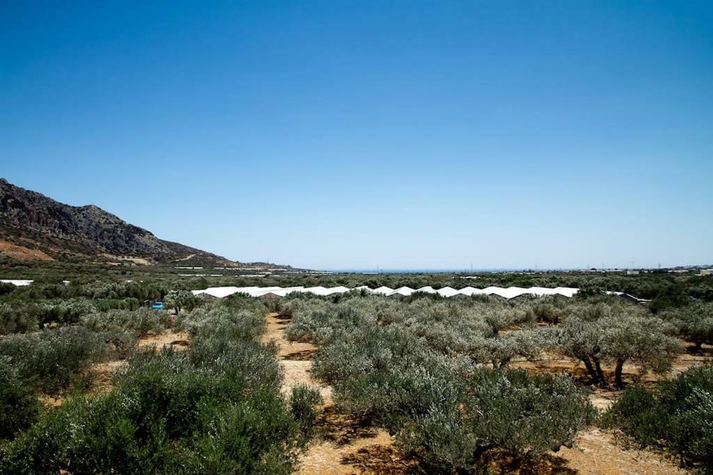 Ierapetra Garden House Apartment Luaran gambar
